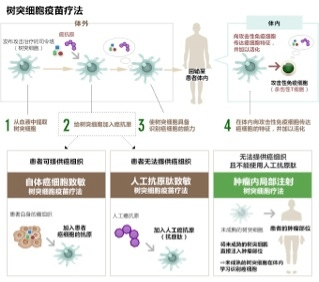 日本免疫细胞,细数日本免疫细胞疗法