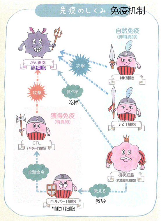 日本免疫细胞,“癌症免疫细胞疗法” 到底是什么？