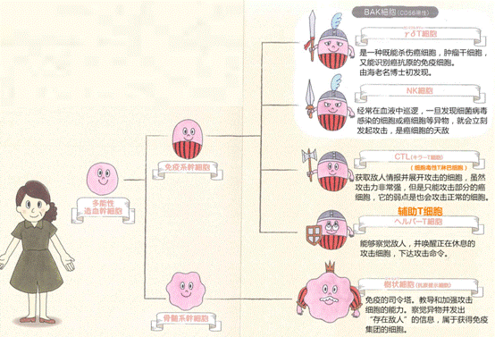 日本免疫细胞,“癌症免疫细胞疗法” 到底是什么？