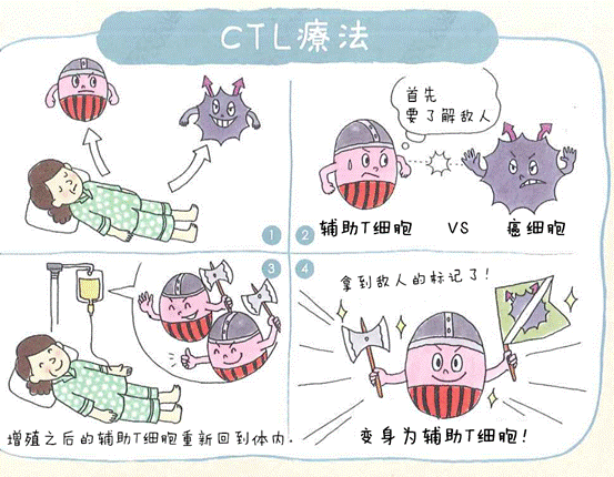 日本免疫细胞,“癌症免疫细胞疗法” 到底是什么？