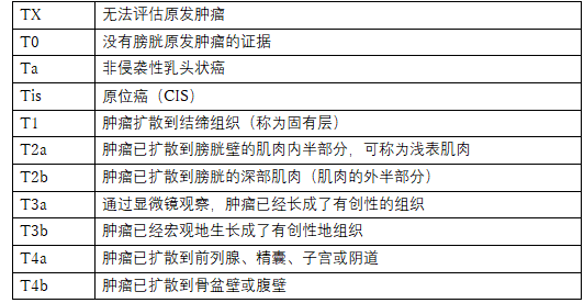 日本膀胱癌治疗有哪些要点，值得收藏！