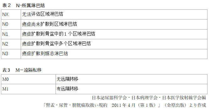 日本膀胱癌治疗有哪些要点，值得收藏！