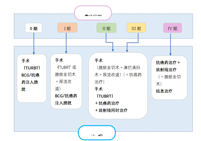 日本膀胱癌治疗有哪些要点，值得收藏！