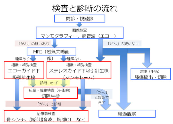 日本看病：乳腺癌治疗日本医院介绍--庆应义塾大学医院