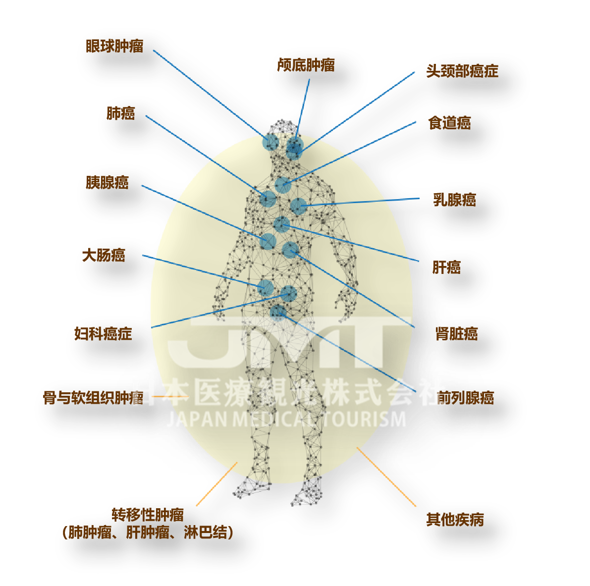 QST医院（放射线医学综合研究所）简介