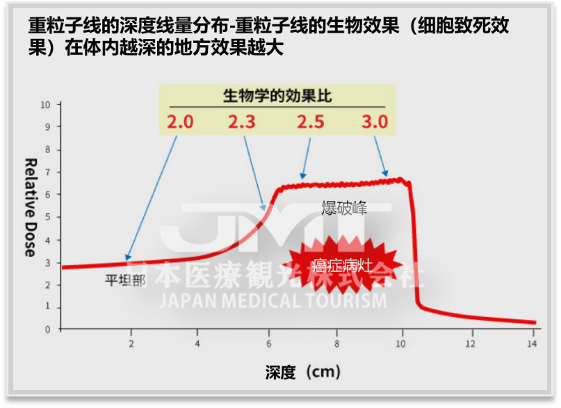 QST医院（放射线医学综合研究所）重离子治疗介绍