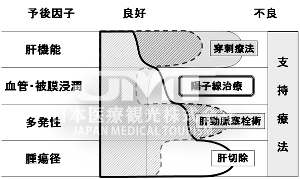 针对肝癌日本质子治疗的适应症有哪些？