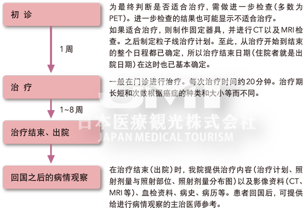 针对头颈部、脑部肿瘤日本质子治疗的适应症是哪些？