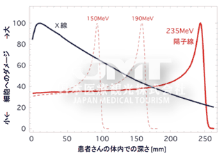 日本国立癌症研究中心质子治疗全方位解析