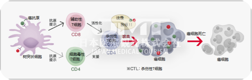 日本免疫细胞疗法及具体原理内容是什么？