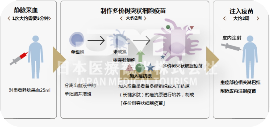 日本免疫细胞疗法及具体原理内容是什么？