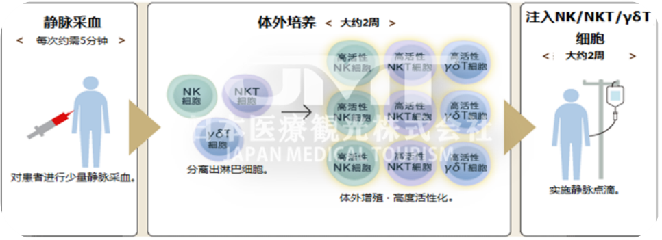 日本免疫细胞疗法及具体原理内容是什么？