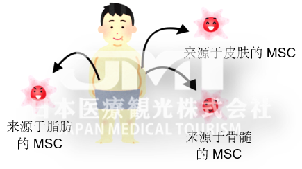 来源于脂肪组织干细胞的临床治疗介绍