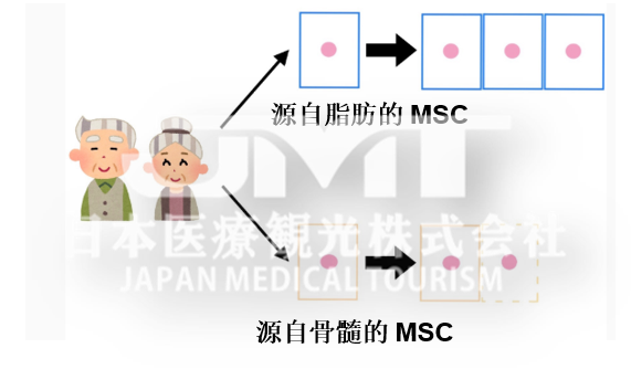 来源于脂肪组织干细胞的临床治疗介绍