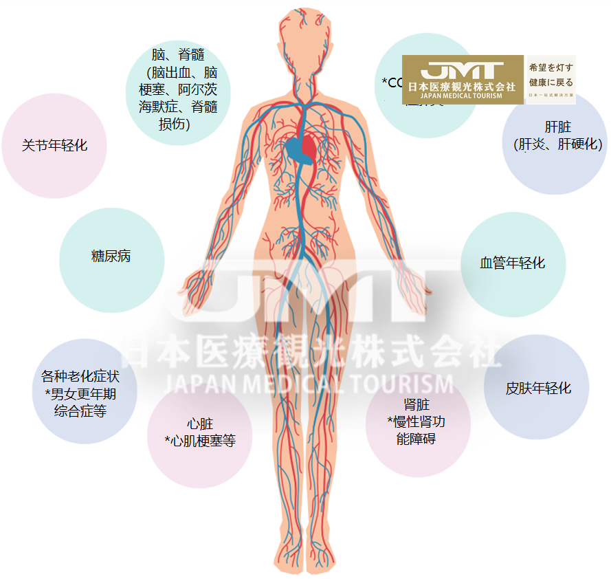 JMT日本干细胞-用于面部及身体抗衰的干细胞详解