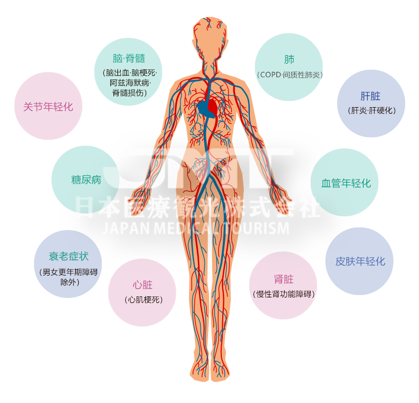 日本脂肪干细胞移植乳房再造术