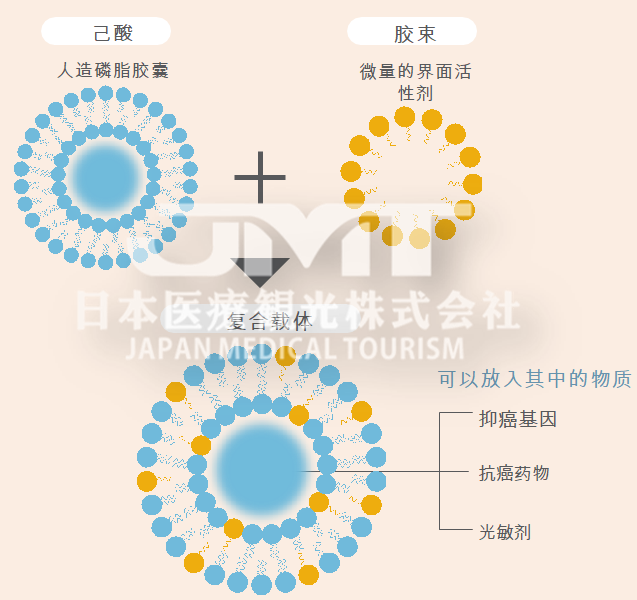 JMT日本副作用较小的癌症治疗方式-精准医疗精密药物治疗