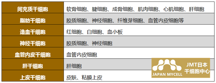 JMT日本干细胞-干细胞大致分为三种！简要解释说明ES细胞·iPS细胞·成体干细胞！