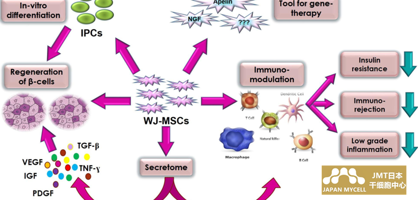 JMT日本干细胞治疗糖尿病-干细胞从根本上治愈2型糖尿病