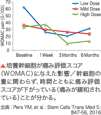 JMT日本干细胞-日本干细胞治疗膝关节疾病流程