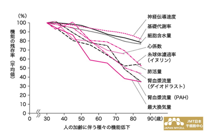 JMT日本干细胞-干细胞抗衰老