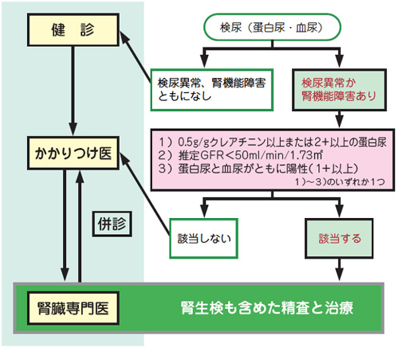 JMT日本干细胞-肝硬化肾炎肾衰竭的治疗