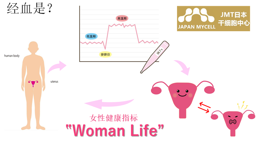 JMT日本干细胞-卵巢早衰更年期不孕不育的经血干细胞治疗