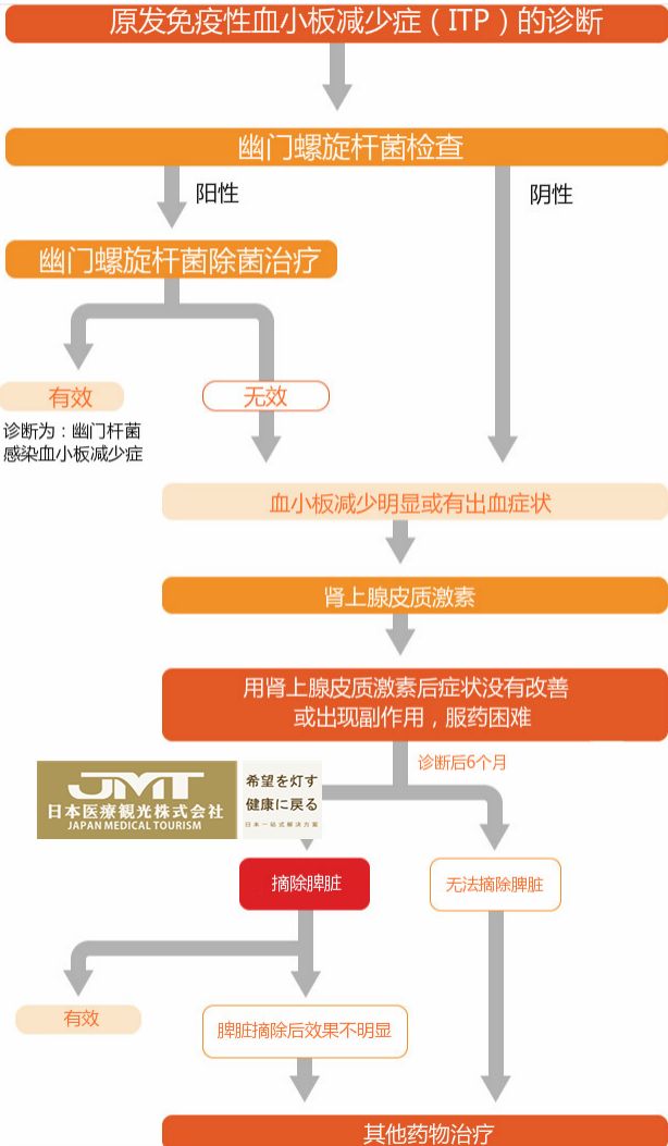 JMT日本医疗-原发免疫性血小板减少症（ITP）的日本治疗