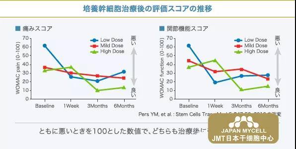 JMT日本干细胞-日本人如何治疗变形性膝关节症