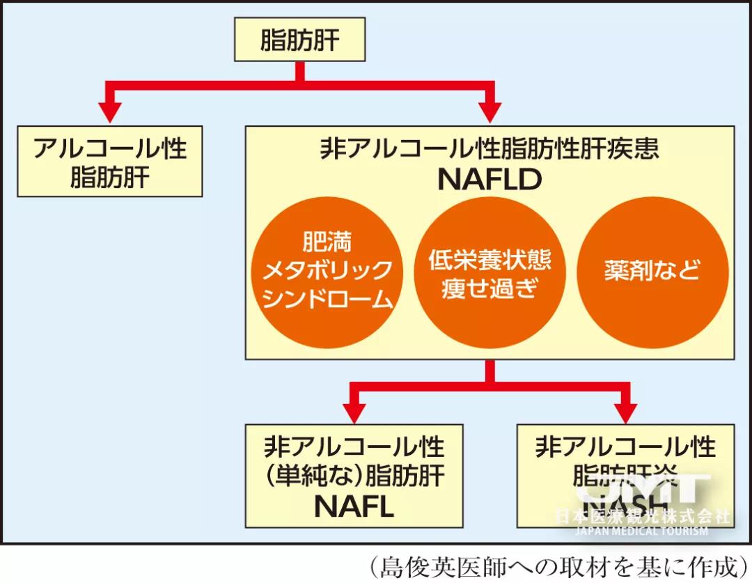 太瘦还有脂肪肝?放任不管可能会导致营养障碍性脂肪肝