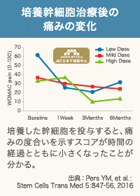 JMT日本干细胞中心-使用自己的细胞进行的膝盖的再生医疗