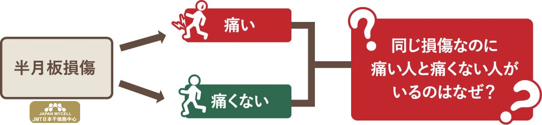 JMT日本干细胞中心-半月板损伤，只能通过手术才能恢复吗？