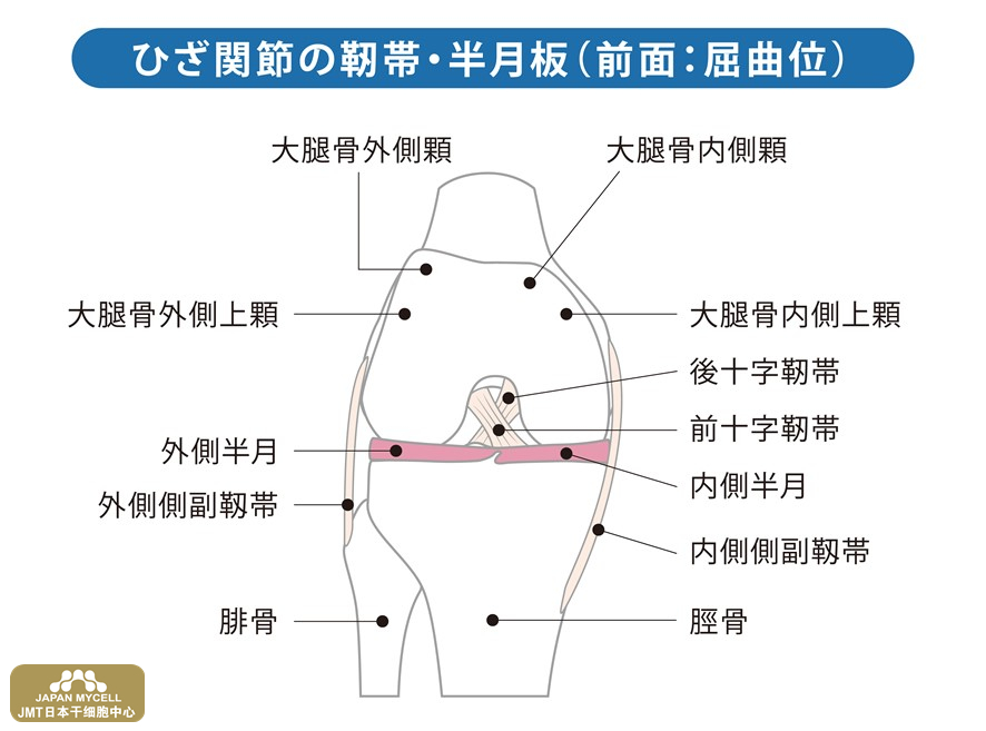 JMT日本干细胞中心-半月板损伤，只能通过手术才能恢复吗？