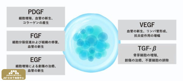 JMT日本干细胞中心-PFC-FD疗法(利用血液生长因子的生物疗法)是什么？优势是？