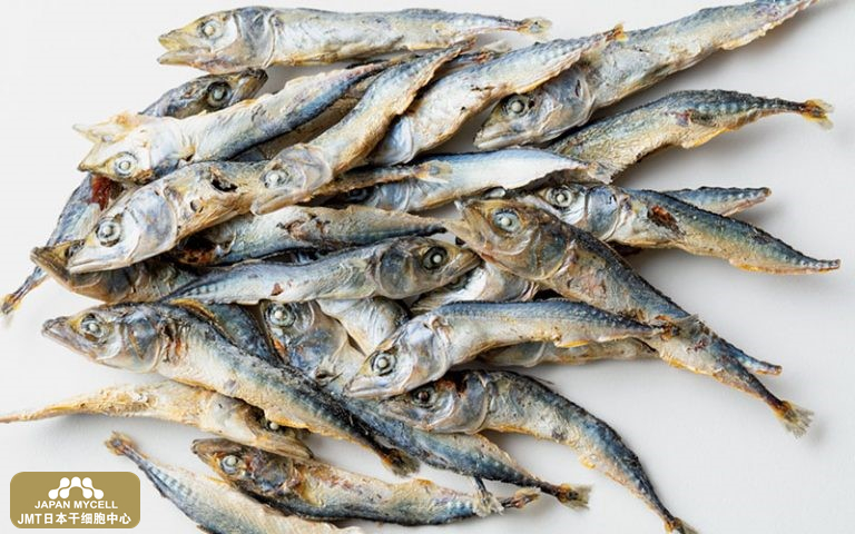 JMT日本干细胞中心-防止卵巢老化早衰支持卵子质量的食物等介绍。干细胞如何预防