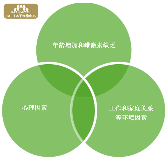JMT日本干细胞中心-随着年龄的增长，女性会经历四个生命阶段（青春期、性成熟期、更年期和老年期）