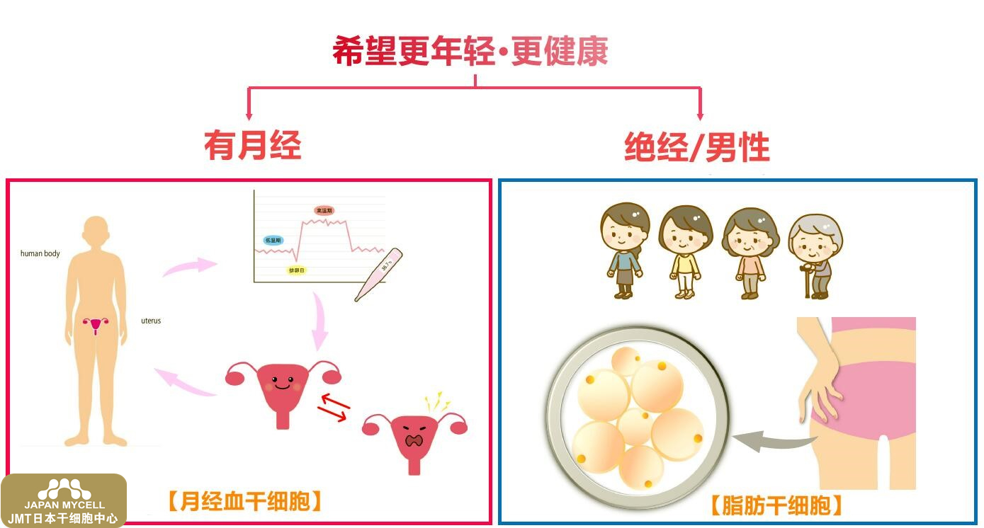 考虑备孕(上) 你知道卵巢年龄吗?卵巢抗衰 考虑备孕(上) 你知道卵巢年龄吗?卵巢抗衰