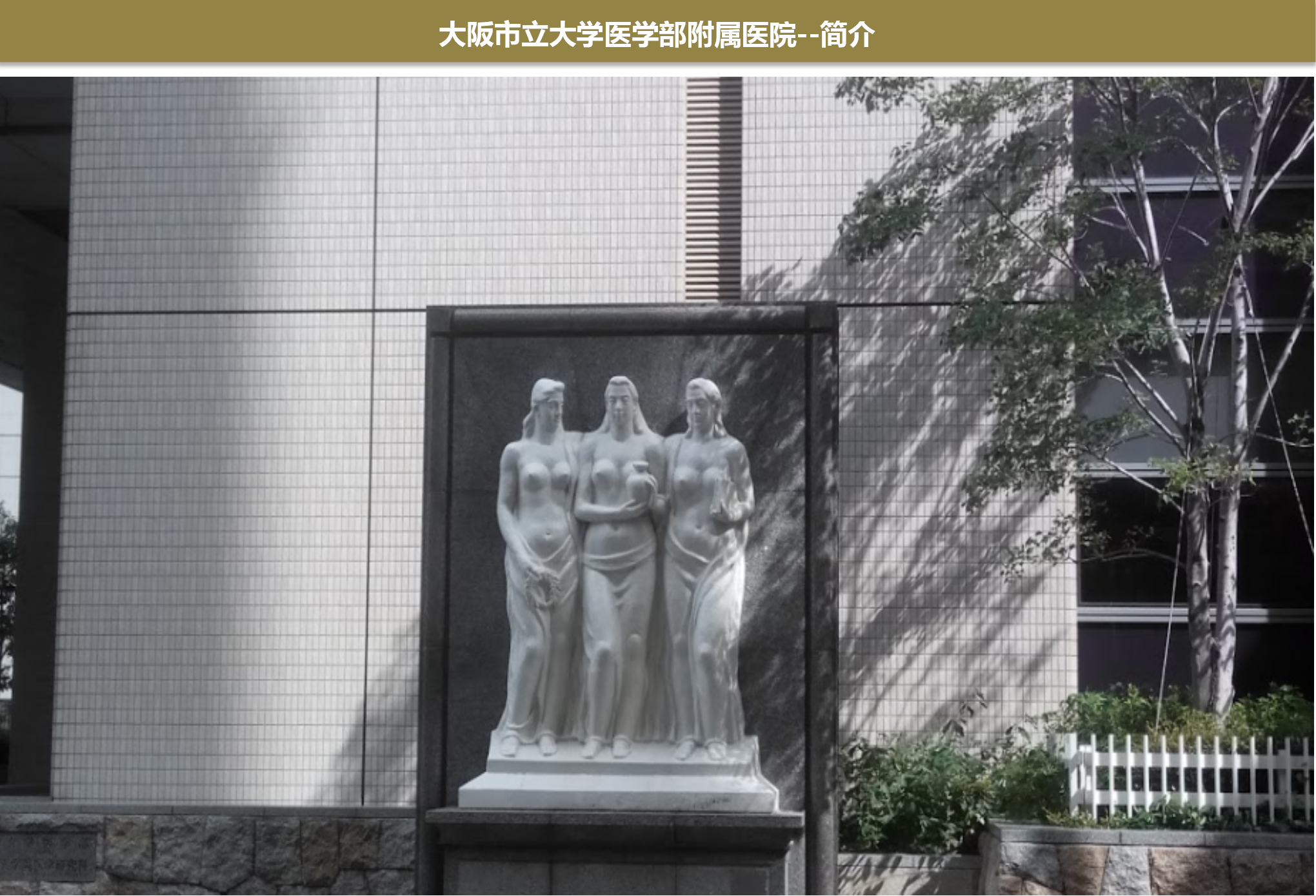 大阪市立大学附属医院