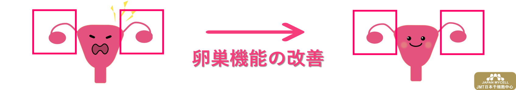 自体经血干细胞治疗卵巢功能问题—日本东京神宫外苑 Woman Life Clinic