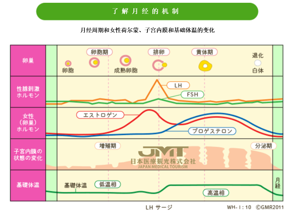 女性更年期的症状及原因