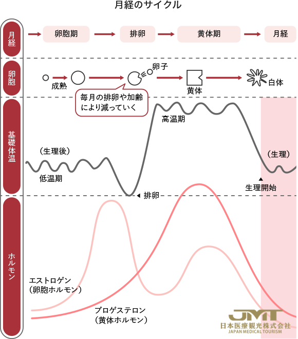 绝经前期是什么样的时期？