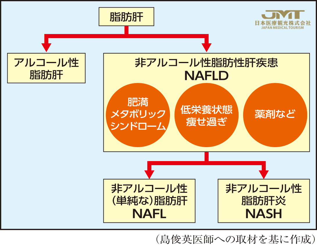 太瘦还有脂肪肝?放任不管可能会导致营养障碍性脂肪肝