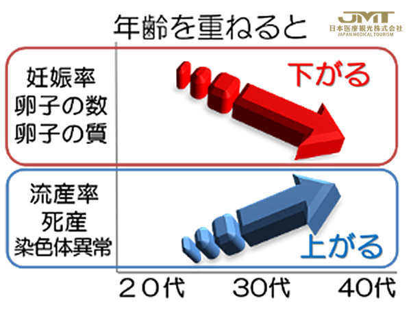 怀孕的主角是卵子，干细胞如何逆转卵子的老化？