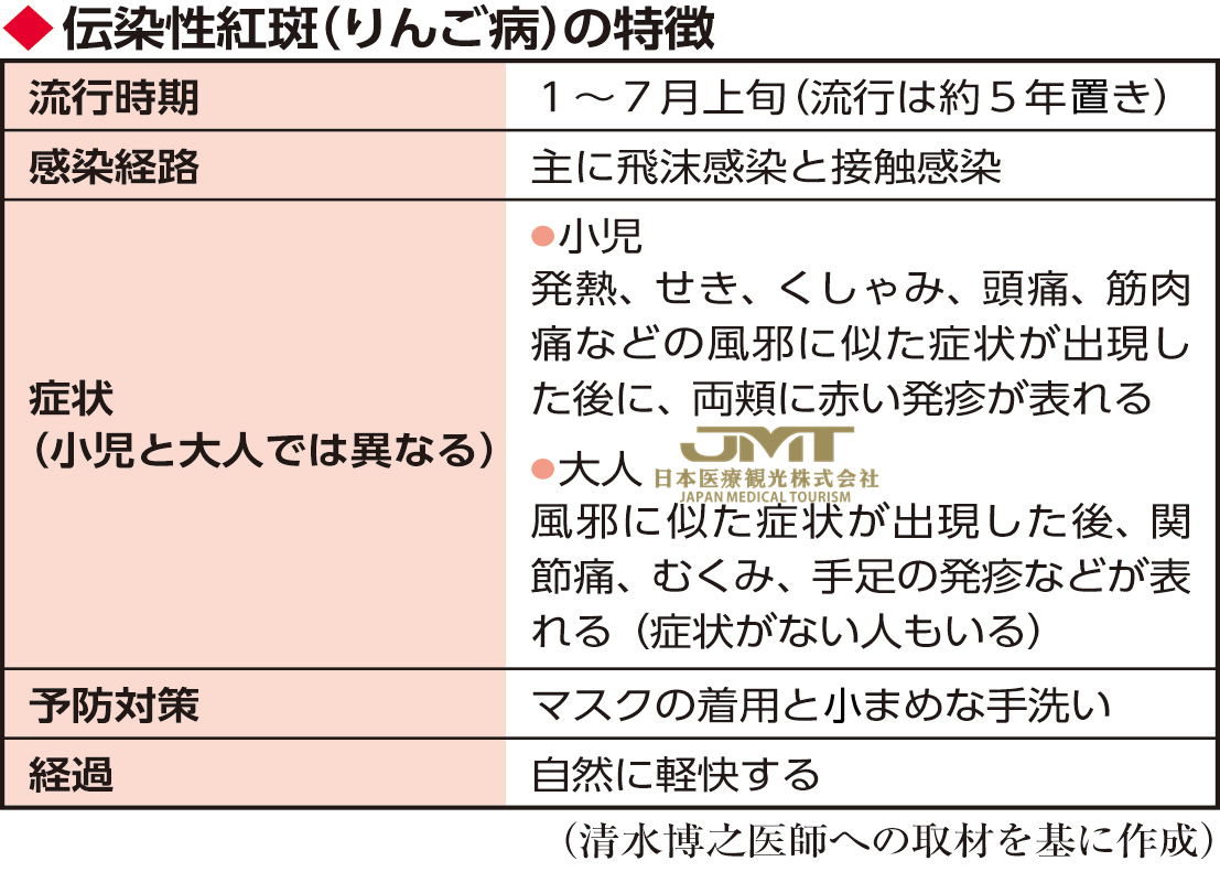 日本看病-大人也会得的“苹果病”，孕妇和特定老毛病患者要注意