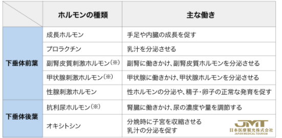 日本脑肿瘤-胶质瘤、脑膜瘤、中枢神经系统原发性恶性淋巴瘤的特点症状及治疗