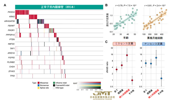 JMT日本医疗——对从不孕症到癌症的各种妇科疾病开发划时代的预防方法，内膜基因组异常的新见解②
