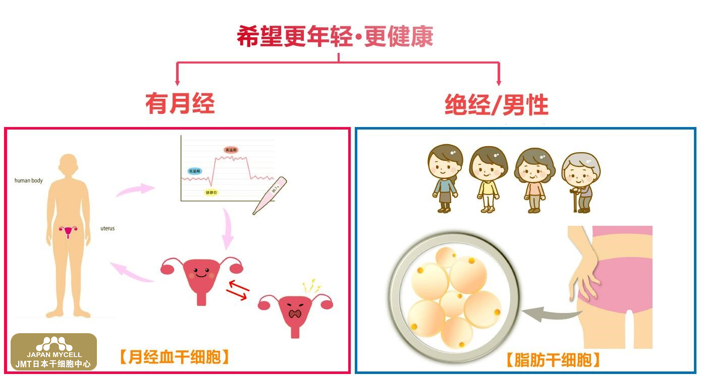 JMT日本干细胞中心-显微授精（ICSI）治疗不孕不育有哪些优势和风险？