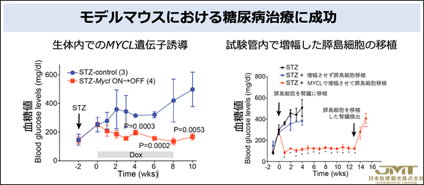 JMT日本医疗——成功增加成熟胰岛细胞-为根治糖尿病，公布了新的再生疗法的可能性③