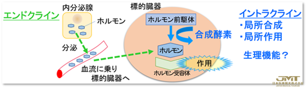 JMT日本医疗——使用新的内分泌机制治疗与年龄有关的眼部疾病，关键是局部激素和昼夜节律的衰老变化①