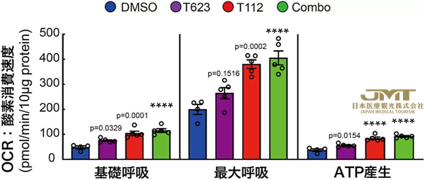 JMT日本医疗——京都大学等成功让人类iPS细胞来源心肌细胞成熟至新生儿水平①